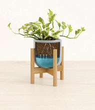 Load image into Gallery viewer, Misty Blue stand:bamboo
