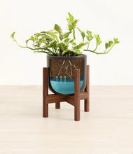 Load image into Gallery viewer, Stone Black stand:walnut
