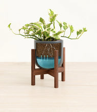 Load image into Gallery viewer, Iron Gray stand:walnut
