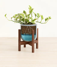 Load image into Gallery viewer, Misty Blue stand:walnut
