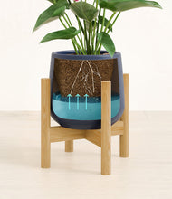 Load image into Gallery viewer, Deep Navy stand:bamboo
