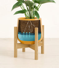 Load image into Gallery viewer, Mustard stand:bamboo
