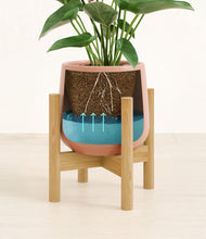 Load image into Gallery viewer, Calm Rose stand:bamboo
