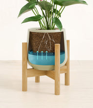 Load image into Gallery viewer, Turquoise stand:bamboo
