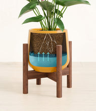 Load image into Gallery viewer, Mustard stand:walnut
