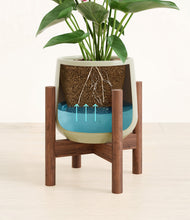 Load image into Gallery viewer, Turquoise stand:walnut
