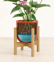 Lade das Bild in den Galerie-Viewer, Glossy Red stand:bamboo

