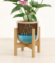 Lade das Bild in den Galerie-Viewer, Glossy Pink stand:bamboo
