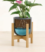 Lade das Bild in den Galerie-Viewer, Iron Gray stand:bamboo

