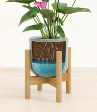 Lade das Bild in den Galerie-Viewer, Reactive Aqua stand:bamboo
