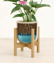 Lade das Bild in den Galerie-Viewer, Sage Green stand:bamboo
