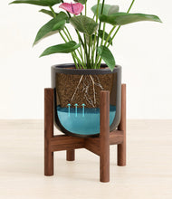 Lade das Bild in den Galerie-Viewer, Stone Black stand:walnut
