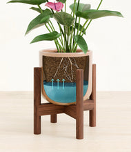 Lade das Bild in den Galerie-Viewer, Glossy Pink stand:walnut
