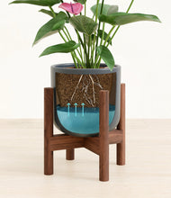 Lade das Bild in den Galerie-Viewer, Iron Gray stand:walnut
