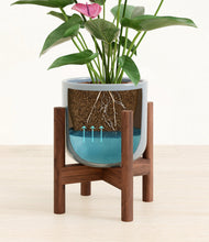 Lade das Bild in den Galerie-Viewer, Misty Blue stand:walnut
