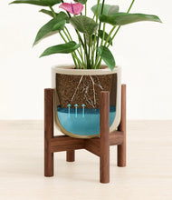 Lade das Bild in den Galerie-Viewer, Sage Green stand:walnut
