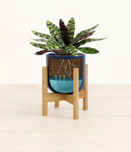 Load image into Gallery viewer, Twilight Blue stand:bamboo
