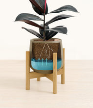 Load image into Gallery viewer, Olive stand:bamboo

