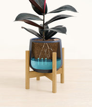 Load image into Gallery viewer, Deep Navy stand:bamboo
