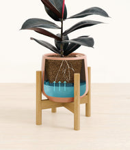 Load image into Gallery viewer, Calm Rose stand:bamboo

