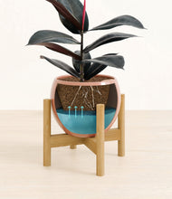 Load image into Gallery viewer, Calm Rose stand:bamboo

