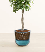 Load image into Gallery viewer, Iron Gray stand:all
