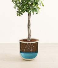 Load image into Gallery viewer, Natural Bamboo stand:all
