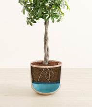 Load image into Gallery viewer, Sandy Pink stand:all
