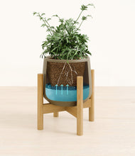 Load image into Gallery viewer, Olive stand:bamboo
