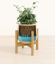 Load image into Gallery viewer, Almond Green stand:bamboo
