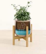 Load image into Gallery viewer, Eternal Gray stand:bamboo

