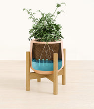 Load image into Gallery viewer, Gentle Pink stand:bamboo

