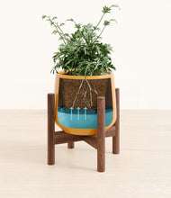 Load image into Gallery viewer, Mustard stand:walnut

