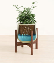 Load image into Gallery viewer, Turquoise stand:walnut
