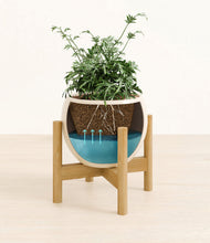 Load image into Gallery viewer, Shiny EggWhite stand:bamboo
