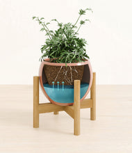 Load image into Gallery viewer, Calm Rose stand:bamboo
