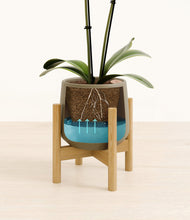 Load image into Gallery viewer, Olive stand:bamboo
