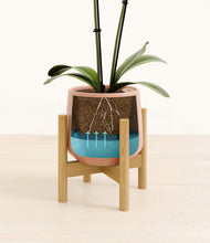 Load image into Gallery viewer, Calm Rose stand:bamboo
