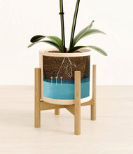 Load image into Gallery viewer, Cream stand:bamboo
