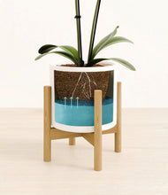 Load image into Gallery viewer, White stand:bamboo
