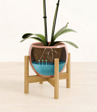 Load image into Gallery viewer, Calm Rose stand:bamboo

