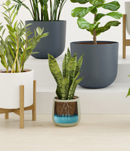 Load image into Gallery viewer, Earthy stand:three_stands
