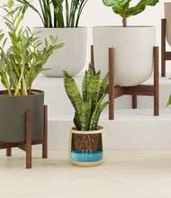 Load image into Gallery viewer, Woodland stand:three_stands
