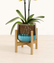 Load image into Gallery viewer, Olive stand:bamboo
