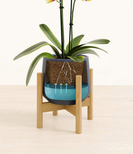 Load image into Gallery viewer, Deep Navy stand:bamboo
