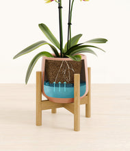 Load image into Gallery viewer, Calm Rose stand:bamboo
