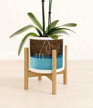 Load image into Gallery viewer, White stand:bamboo
