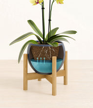 Load image into Gallery viewer, Deep Navy stand:bamboo
