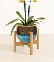 Load image into Gallery viewer, Calm Rose stand:bamboo
