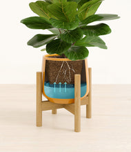 Load image into Gallery viewer, Mustard stand:bamboo
